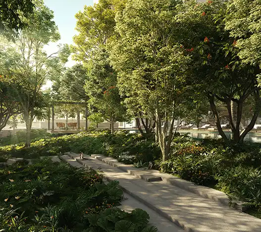 Garden